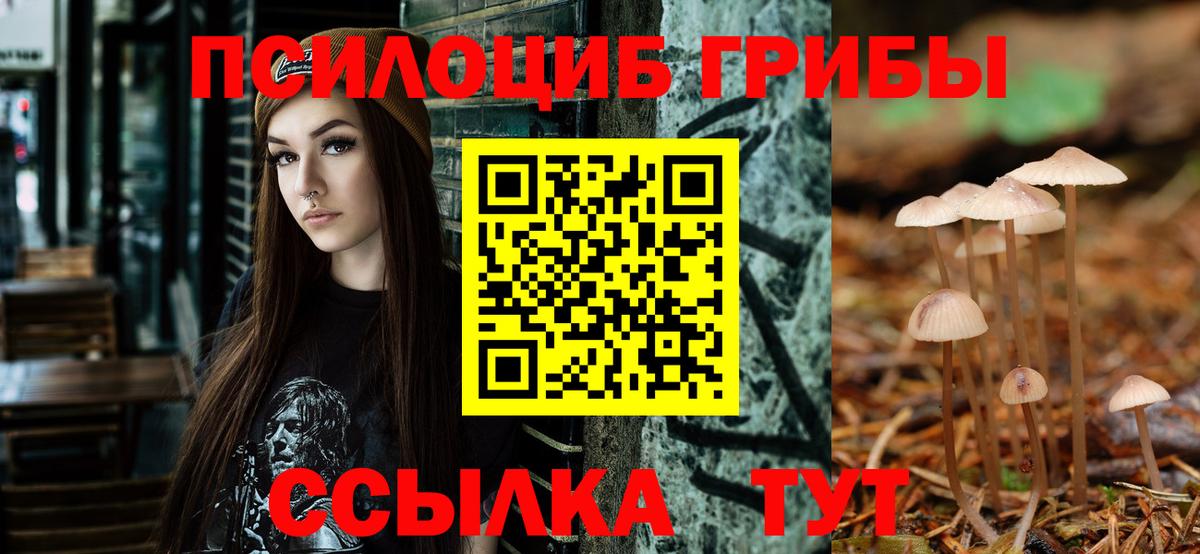 Галлюциногенные грибы Psilocybine cubensis Саратов